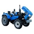  DW 244 B 